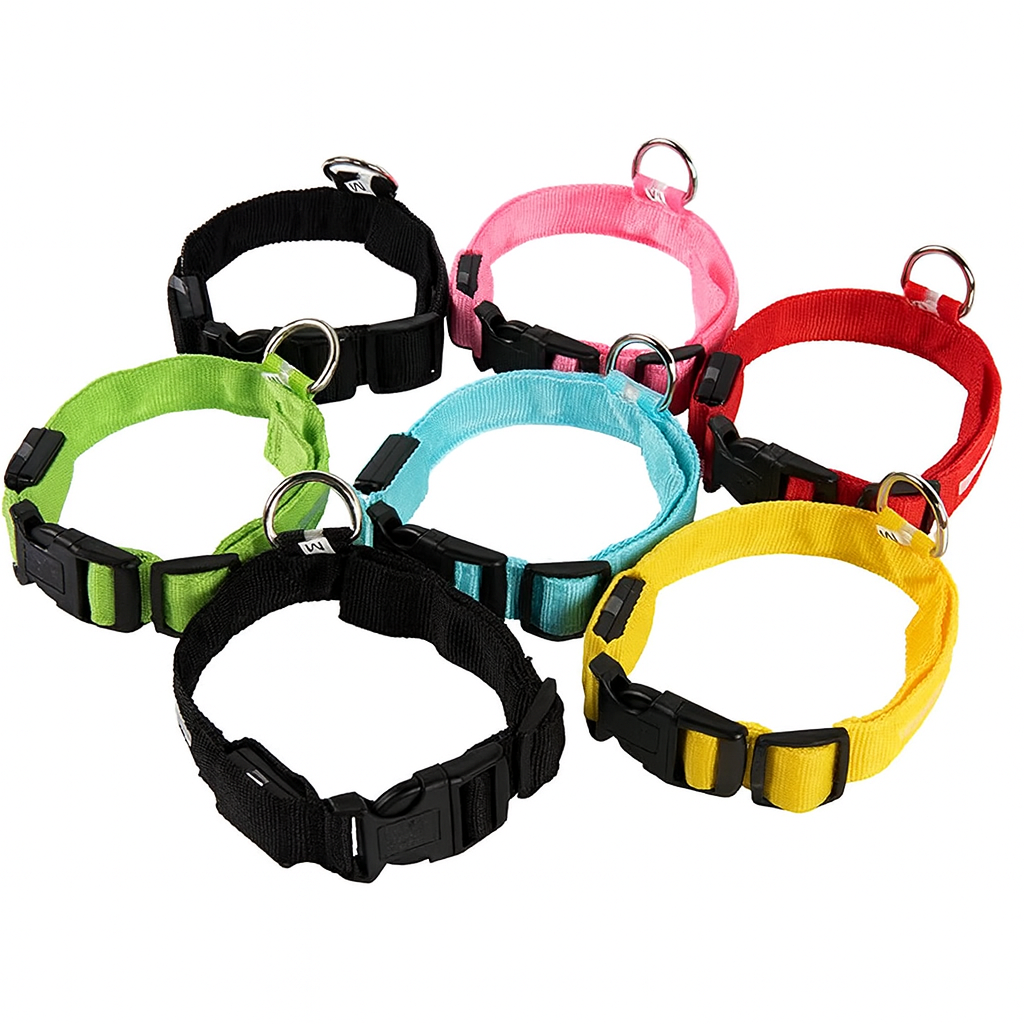 Vodapet LED Glow Dog Leash & Collar – Night Safety Nylon