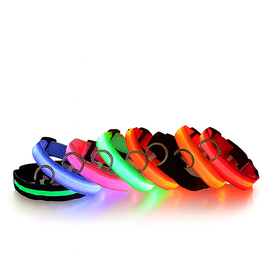 Vodapet LED Glow Dog Leash & Collar – Night Safety Nylon