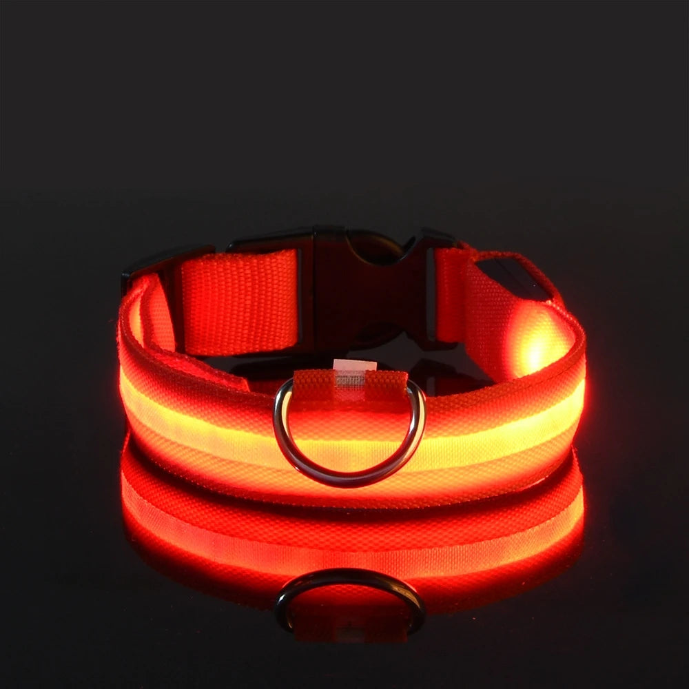 Vodapet LED Glow Dog Leash & Collar – Night Safety Nylon