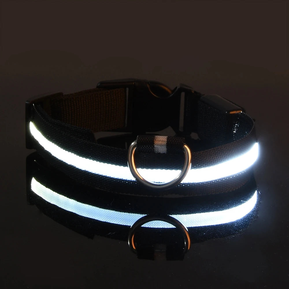 Vodapet LED Glow Dog Leash & Collar – Night Safety Nylon