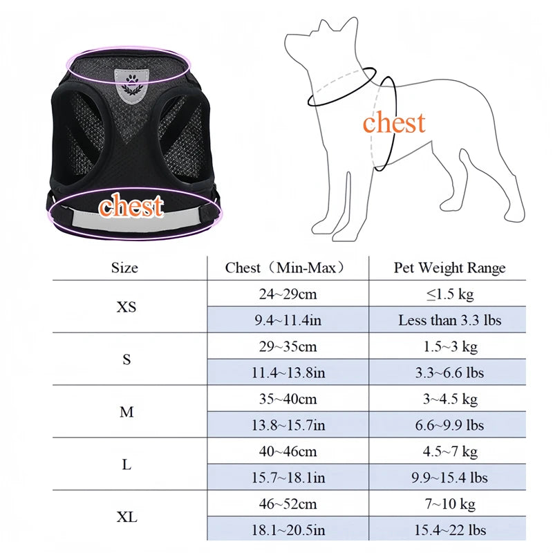 Vodapet Adjustable Pet Harness and Leash Set