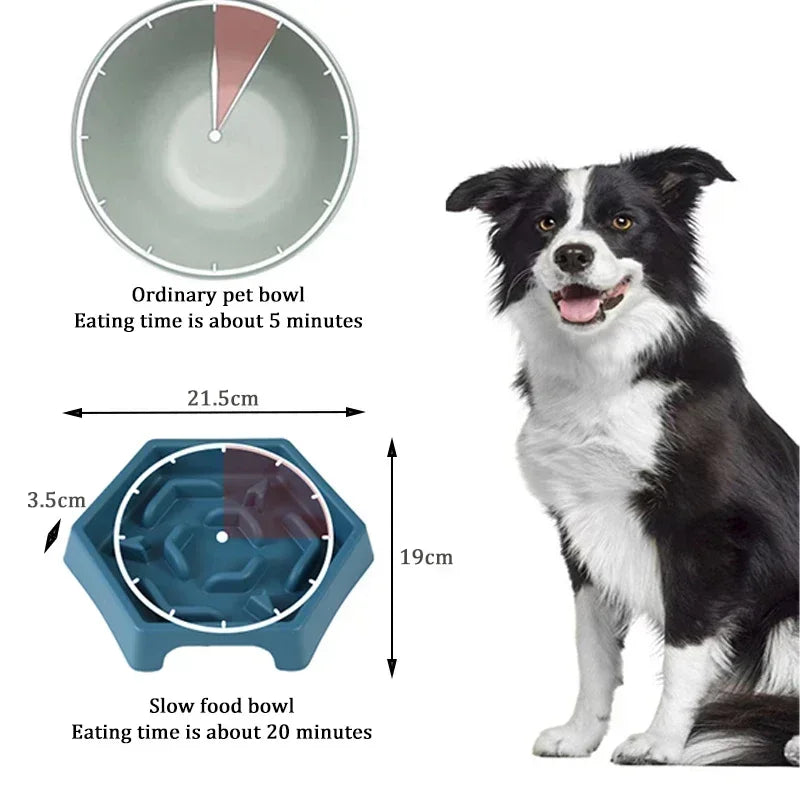 Vodapet Anti-Choking Slow Feeder Dog Bowl