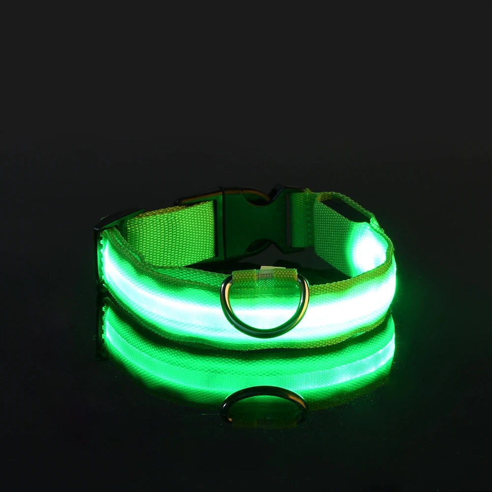 Vodapet LED Glow Dog Leash & Collar – Night Safety Nylon