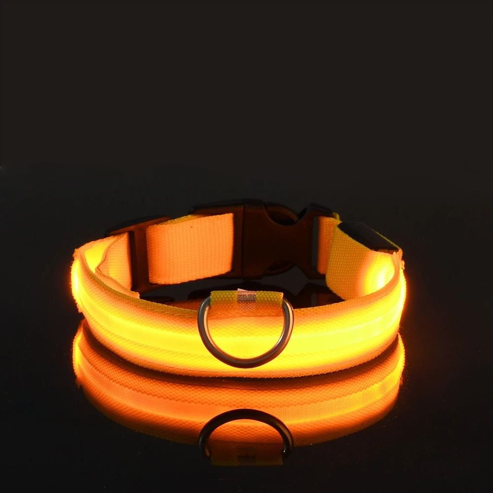 Vodapet LED Glow Dog Leash & Collar – Night Safety Nylon