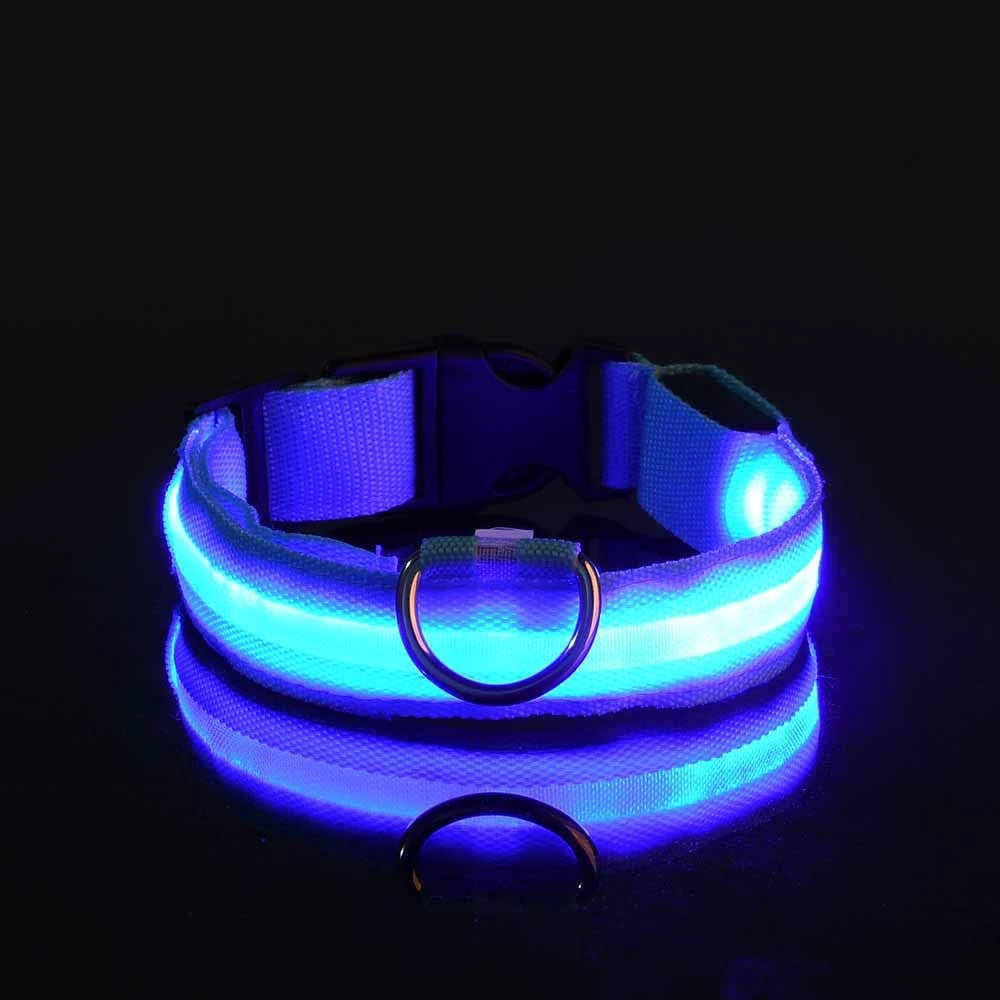 Vodapet LED Glow Dog Leash & Collar – Night Safety Nylon