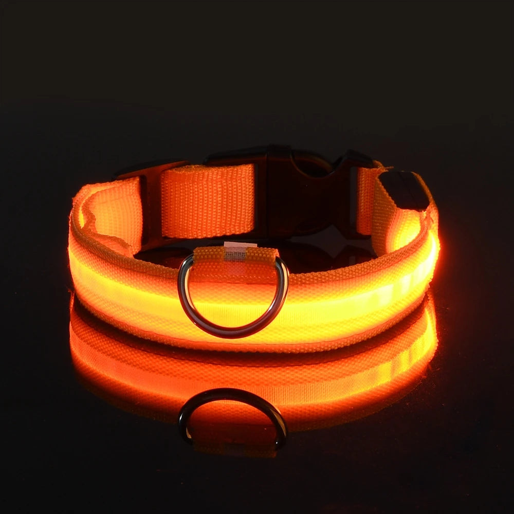 Vodapet LED Glow Dog Leash & Collar – Night Safety Nylon