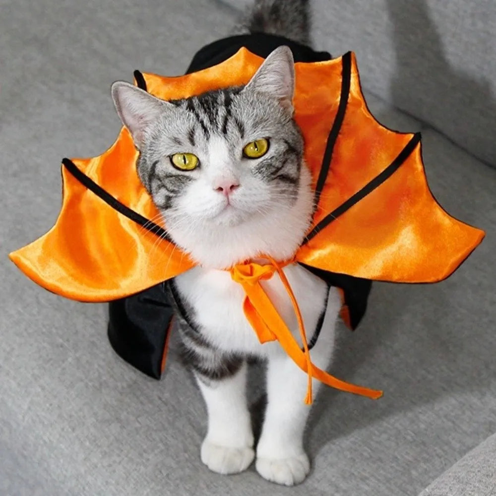 Vodapet Halloween Bat Costume – Cat & Small Pet Cosplay Cloak with Bow