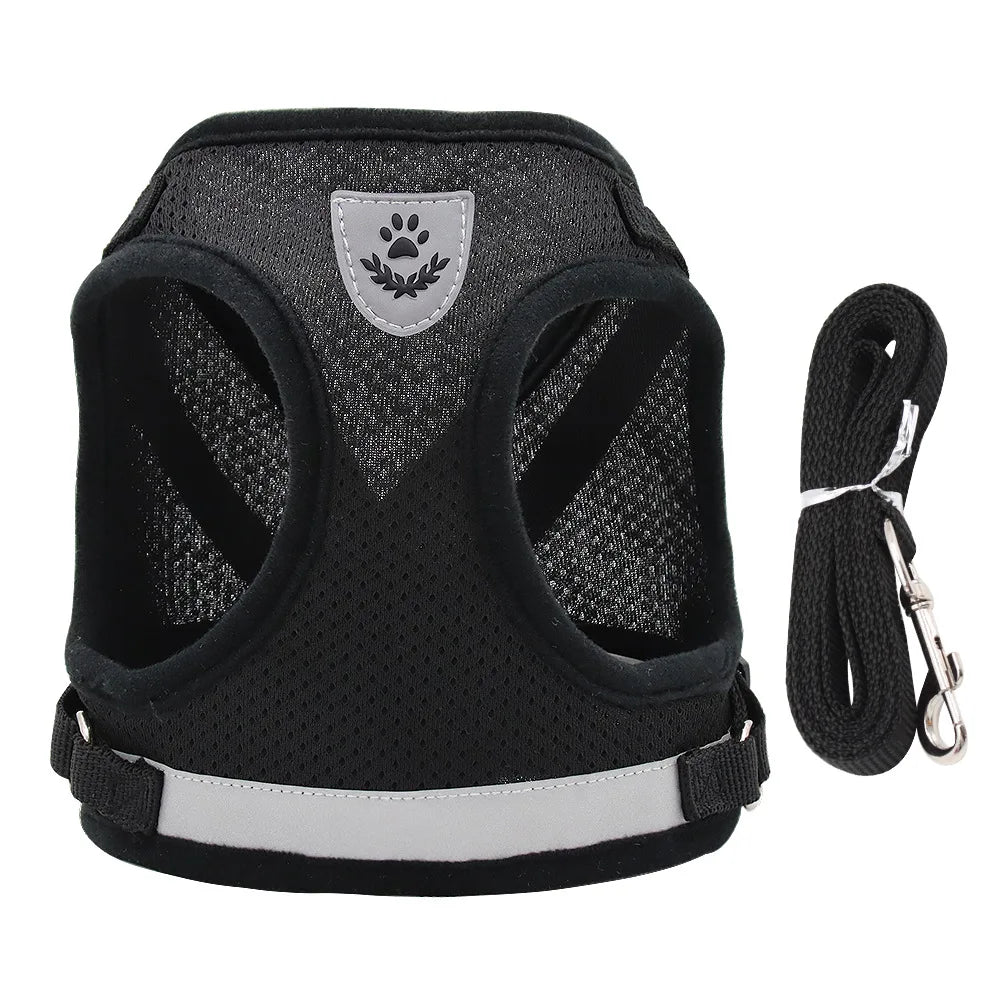 Vodapet Adjustable Pet Harness and Leash Set