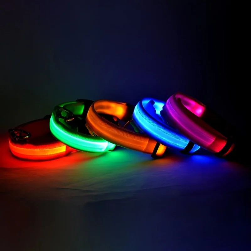 Vodapet LED Glow Dog Leash & Collar – Night Safety Nylon