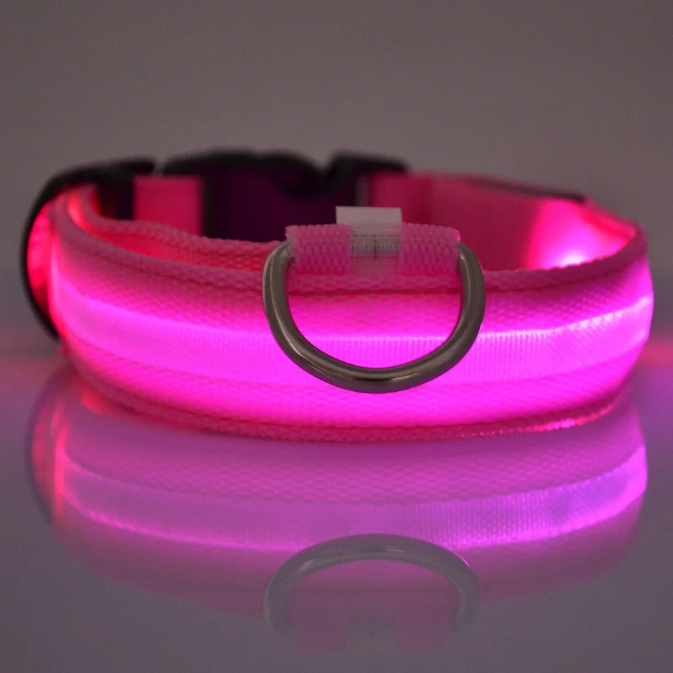 Vodapet LED Glow Dog Leash & Collar – Night Safety Nylon