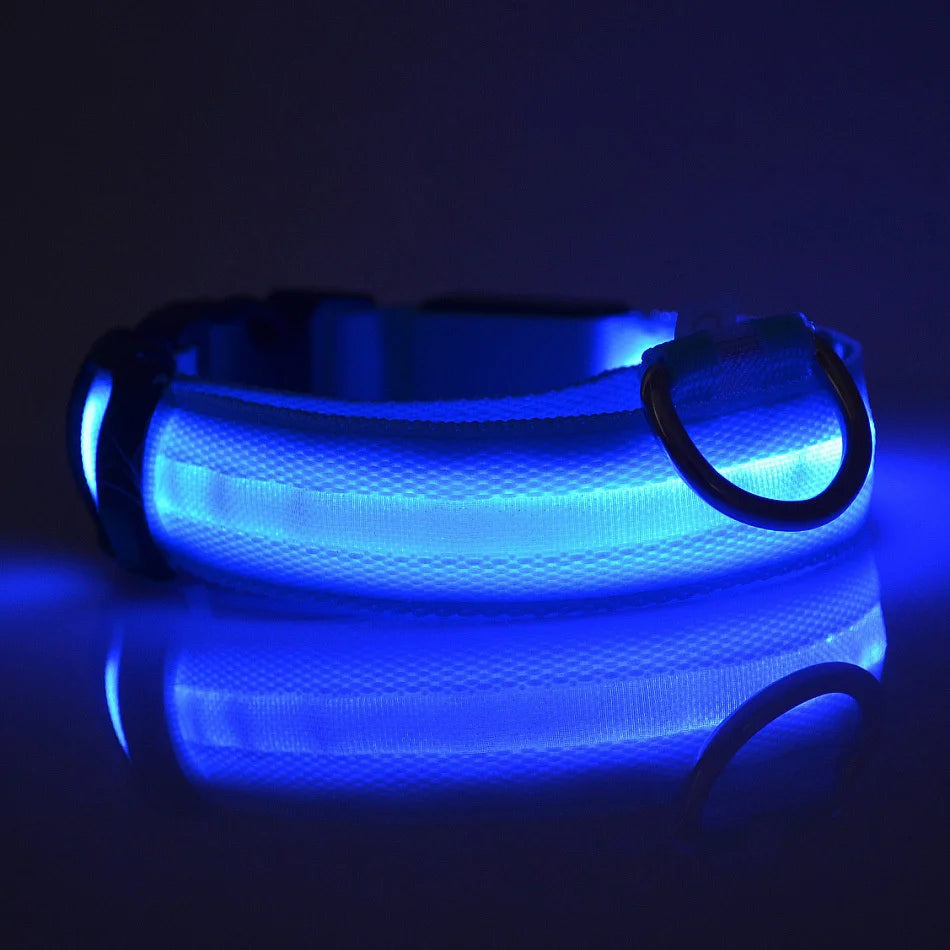 Vodapet LED Glow Dog Leash & Collar – Night Safety Nylon
