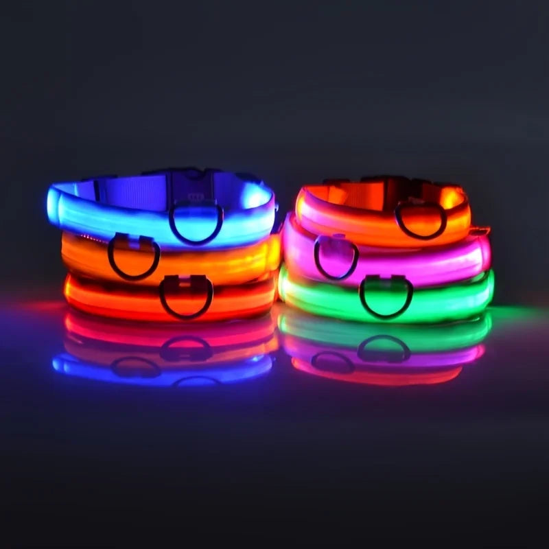 Vodapet LED Glow Dog Leash & Collar – Night Safety Nylon