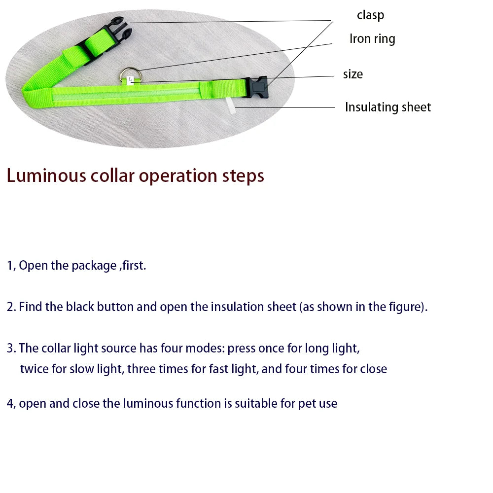 Vodapet LED Glow Dog Leash & Collar – Night Safety Nylon