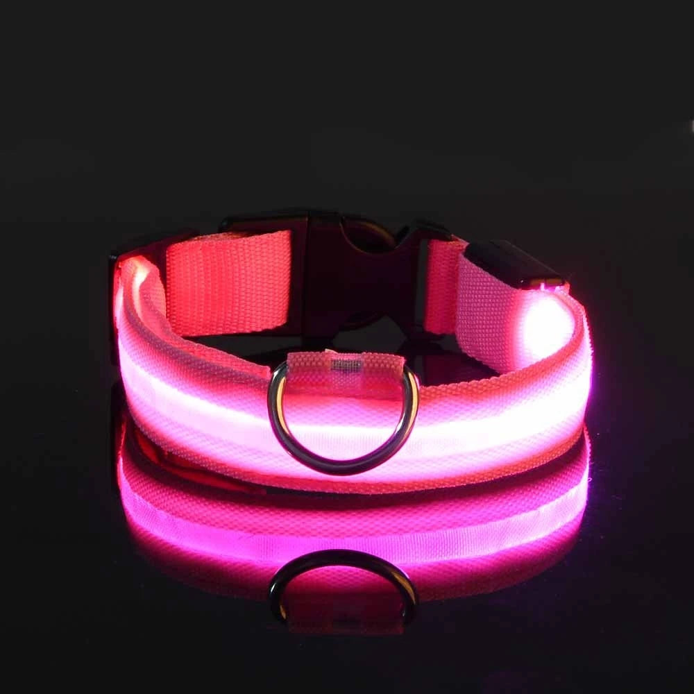 Vodapet LED Glow Dog Leash & Collar – Night Safety Nylon