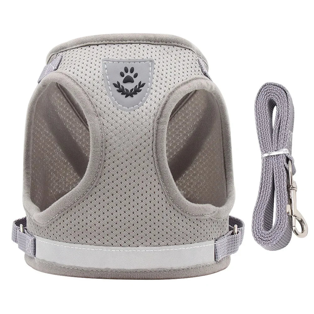 Vodapet Adjustable Pet Harness and Leash Set