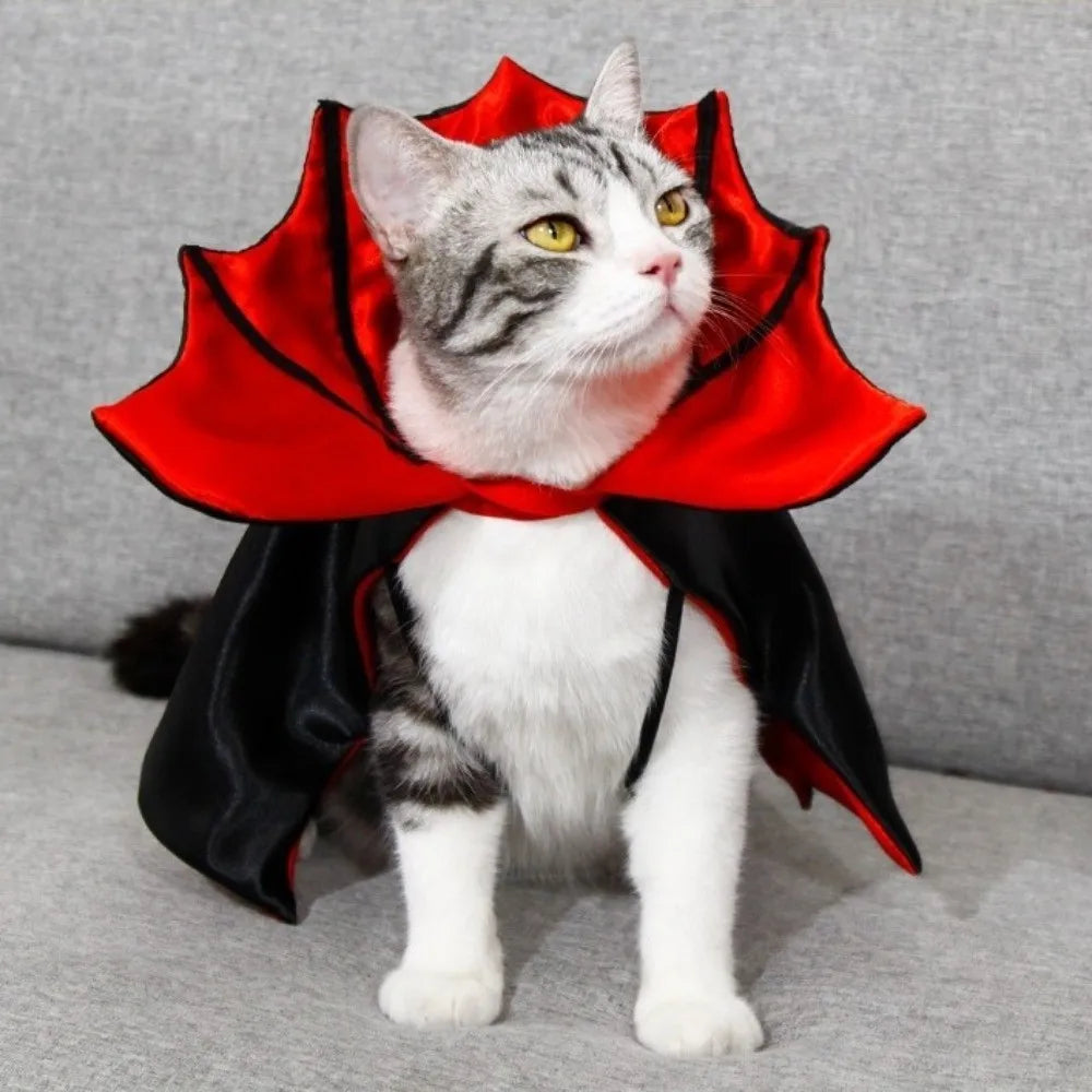 Vodapet Halloween Bat Costume – Cat & Small Pet Cosplay Cloak with Bow