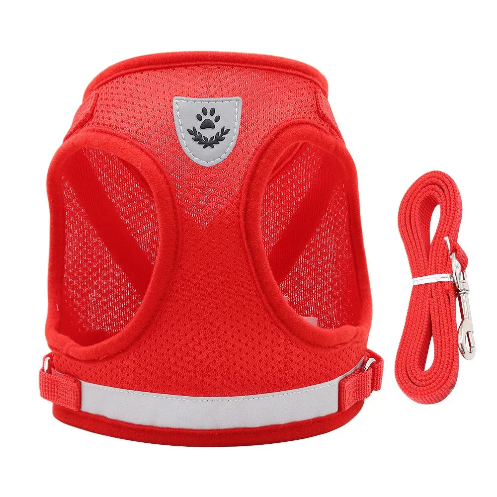 Vodapet Adjustable Pet Harness and Leash Set