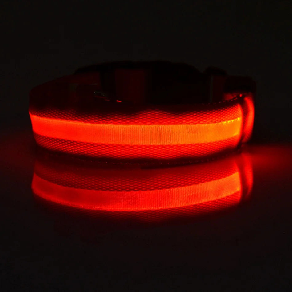 Vodapet LED Glow Dog Leash & Collar – Night Safety Nylon