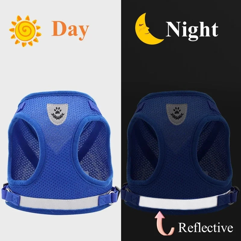 Vodapet Adjustable Pet Harness and Leash Set