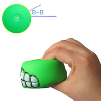 Vodapet Squeaky Silicone Dog Toy