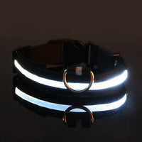 Vodapet LED Glow Dog Leash & Collar – Night Safety Nylon