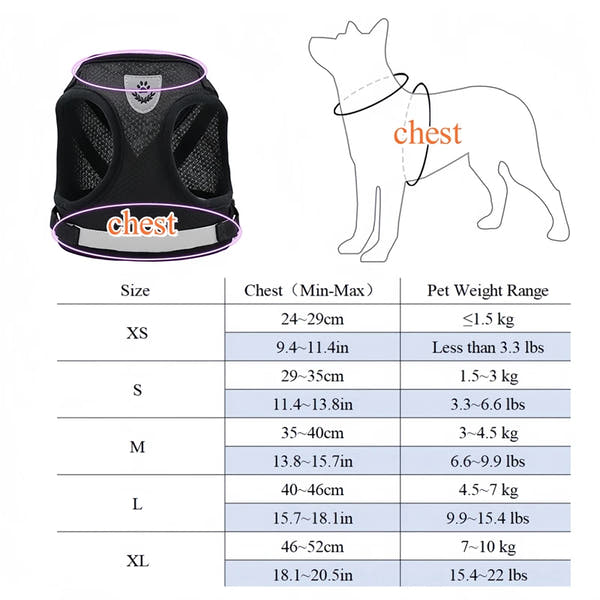 Vodapet Adjustable Pet Harness and Leash Set