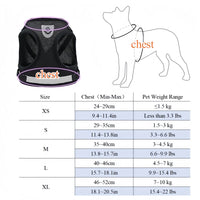Vodapet Adjustable Pet Harness and Leash Set