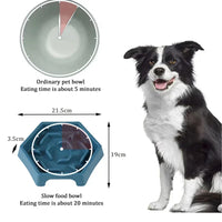 Vodapet Anti-Choking Slow Feeder Dog Bowl