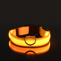Vodapet LED Glow Dog Leash & Collar – Night Safety Nylon