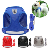 Vodapet Adjustable Pet Harness and Leash Set