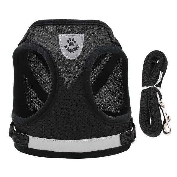 Vodapet Adjustable Pet Harness and Leash Set