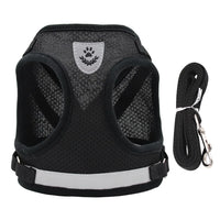 Vodapet Adjustable Pet Harness and Leash Set
