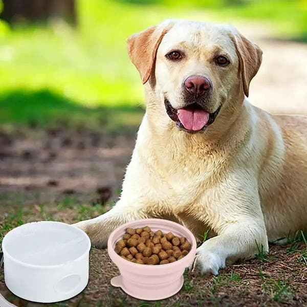 Vodapet Portable Folding Dog Bowl