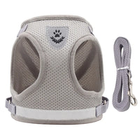 Vodapet Adjustable Pet Harness and Leash Set