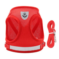 Vodapet Adjustable Pet Harness and Leash Set
