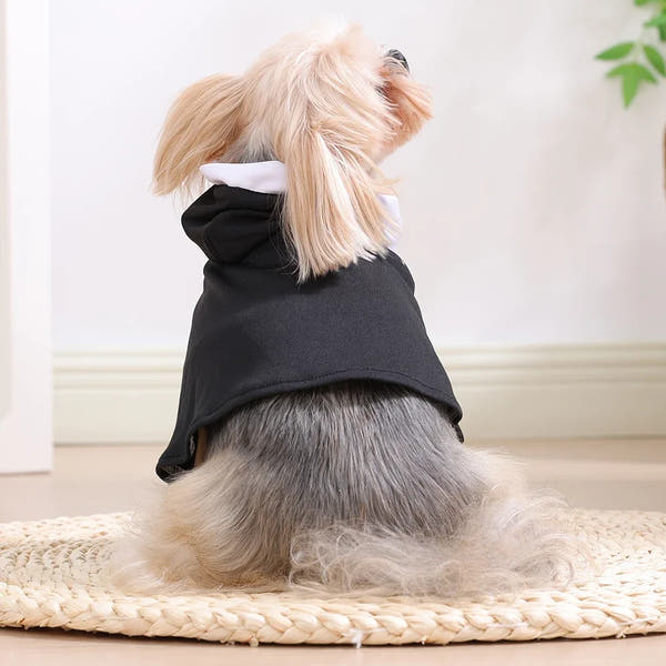 Vodapet Halloween Nun Costume for Cats & Small Dogs – Funny Cross Print Pet Outfit