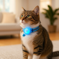 Vodapet Apple AirTag Pet Collar – GPS Tracking for Dogs & Cats