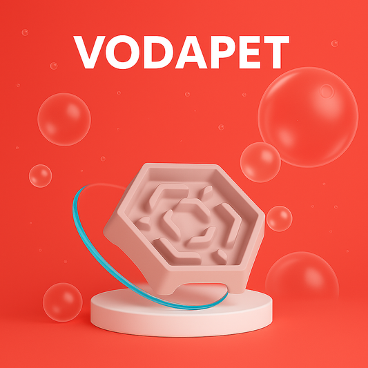 Vodapet Anti-Choking Slow Feeder Dog Bowl